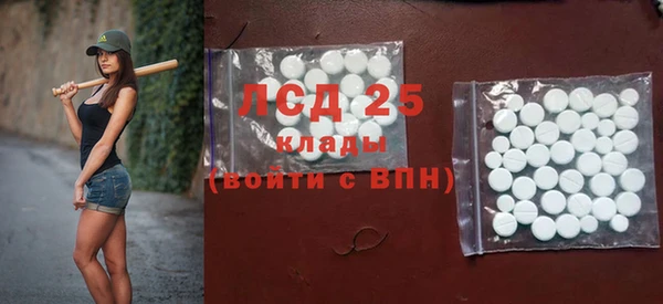 ГАЛЛЮЦИНОГЕННЫЕ ГРИБЫ Корсаков