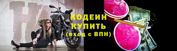 шишки Костерёво