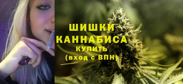 шишки Костерёво