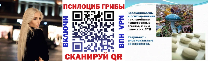 Галлюциногенные грибы Psilocybine cubensis  Купить  Зерноград 
